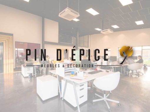 Pin d’épice